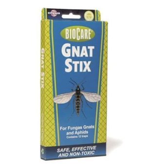 in-gnat-trap_1.jpg